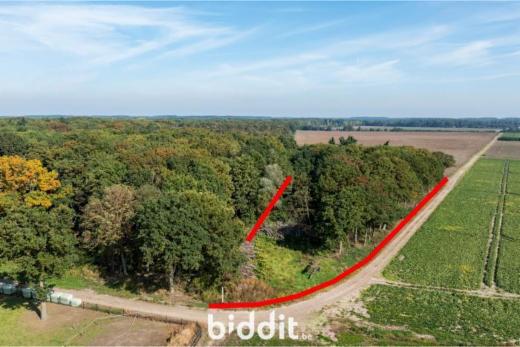 Image de présentation du bien n° 291029