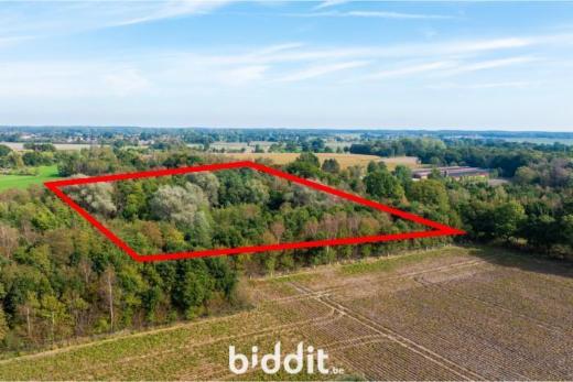 Image de présentation du bien n° 291102