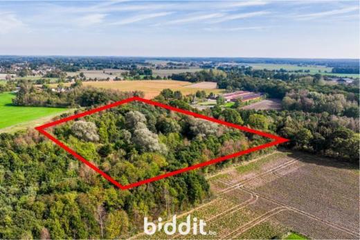 Première photo alternative du bien