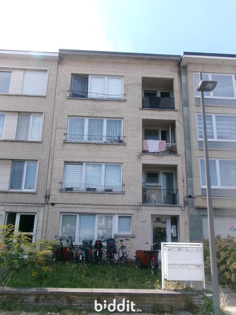 Image de présentation du bien n° 294474