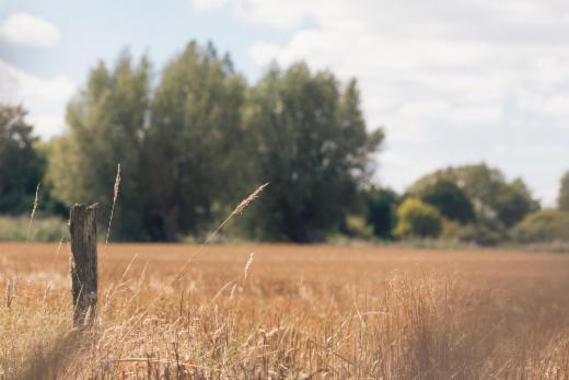 Seconde photo alternative du bien