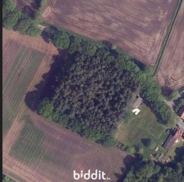 Image de présentation du bien n° 282830