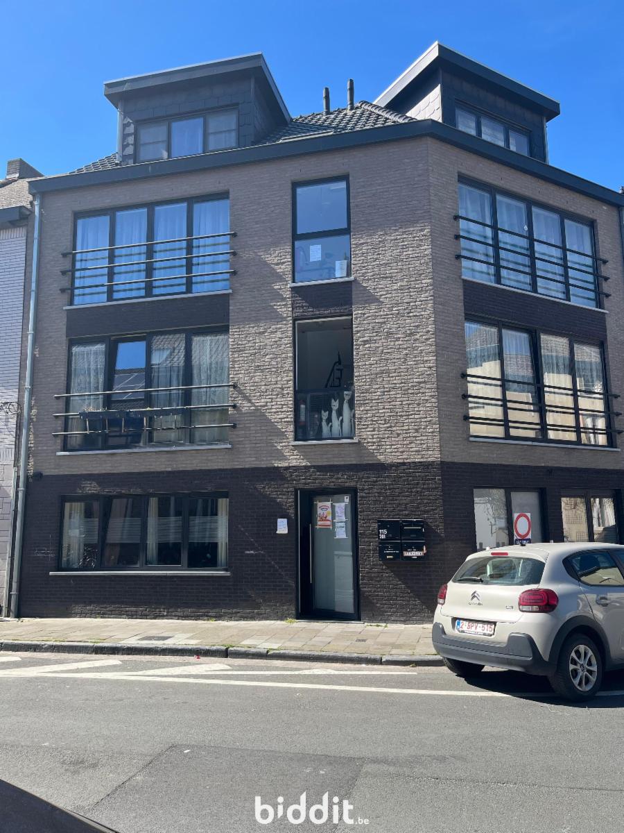 Image de présentation du bien n° 295072