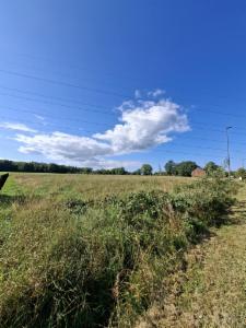 Première photo alternative du bien