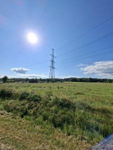 Image de présentation du bien n° 287079