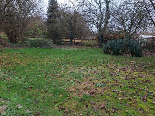 Troisième photo alternative du bien