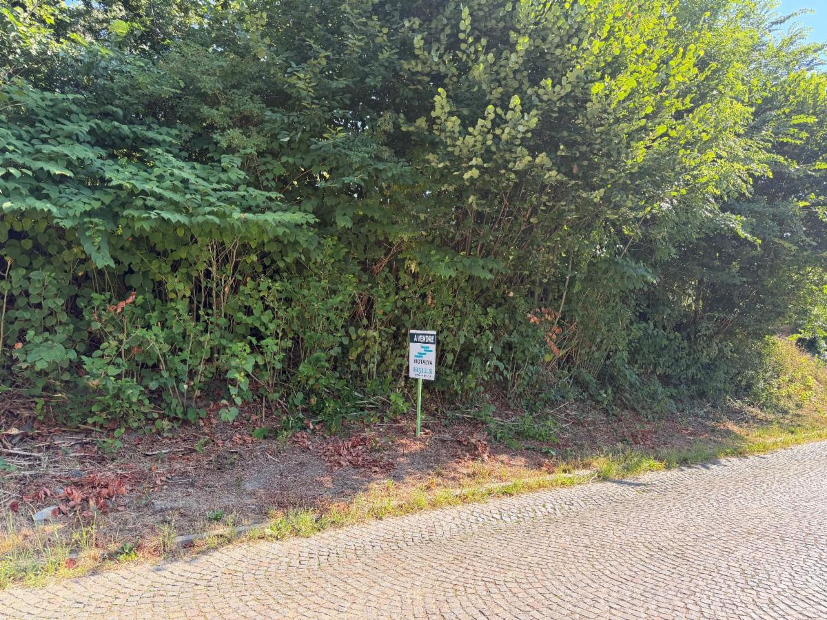 Image de présentation du bien n° 299391