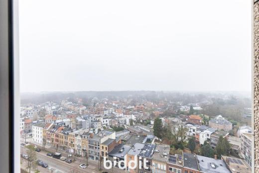 Image de présentation du bien n° 292206