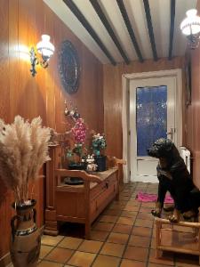 Première photo alternative du bien