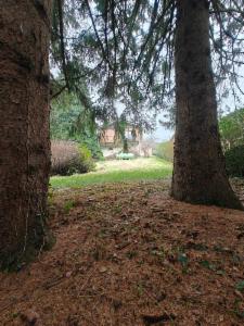 Troisième photo alternative du bien