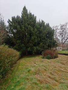 Seconde photo alternative du bien