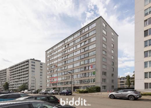 Image de présentation du bien n° 299931