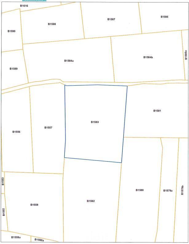 Image de présentation du bien n° 293305