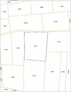 Image de présentation du bien n° 293305