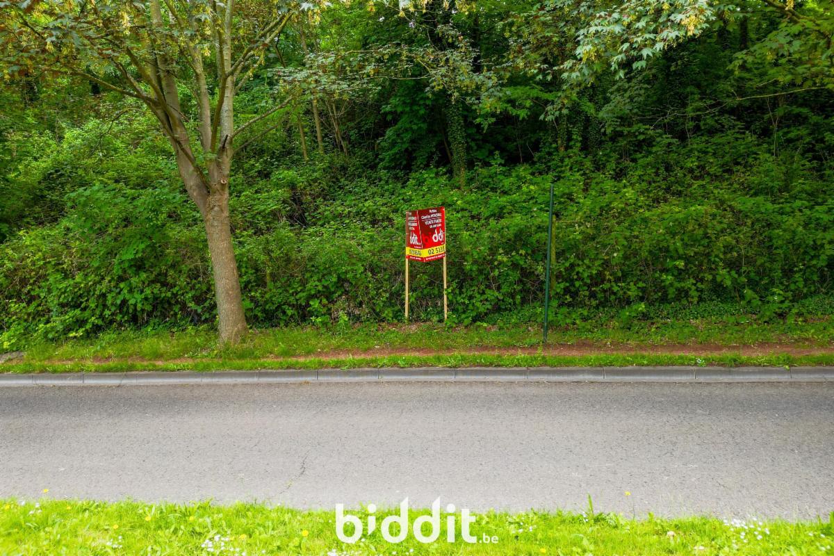 Image de présentation du bien n° 297479