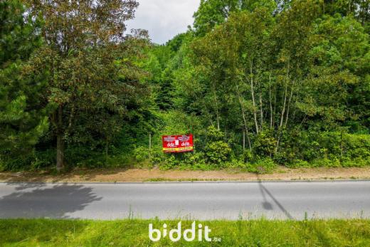 Image de présentation du bien n° 297482