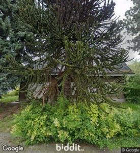 Image de présentation du bien n° 297242