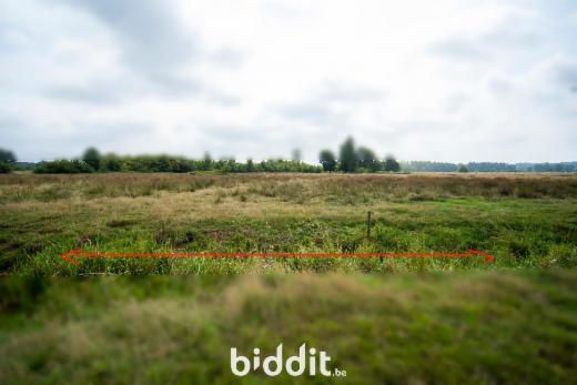 Première photo alternative du bien