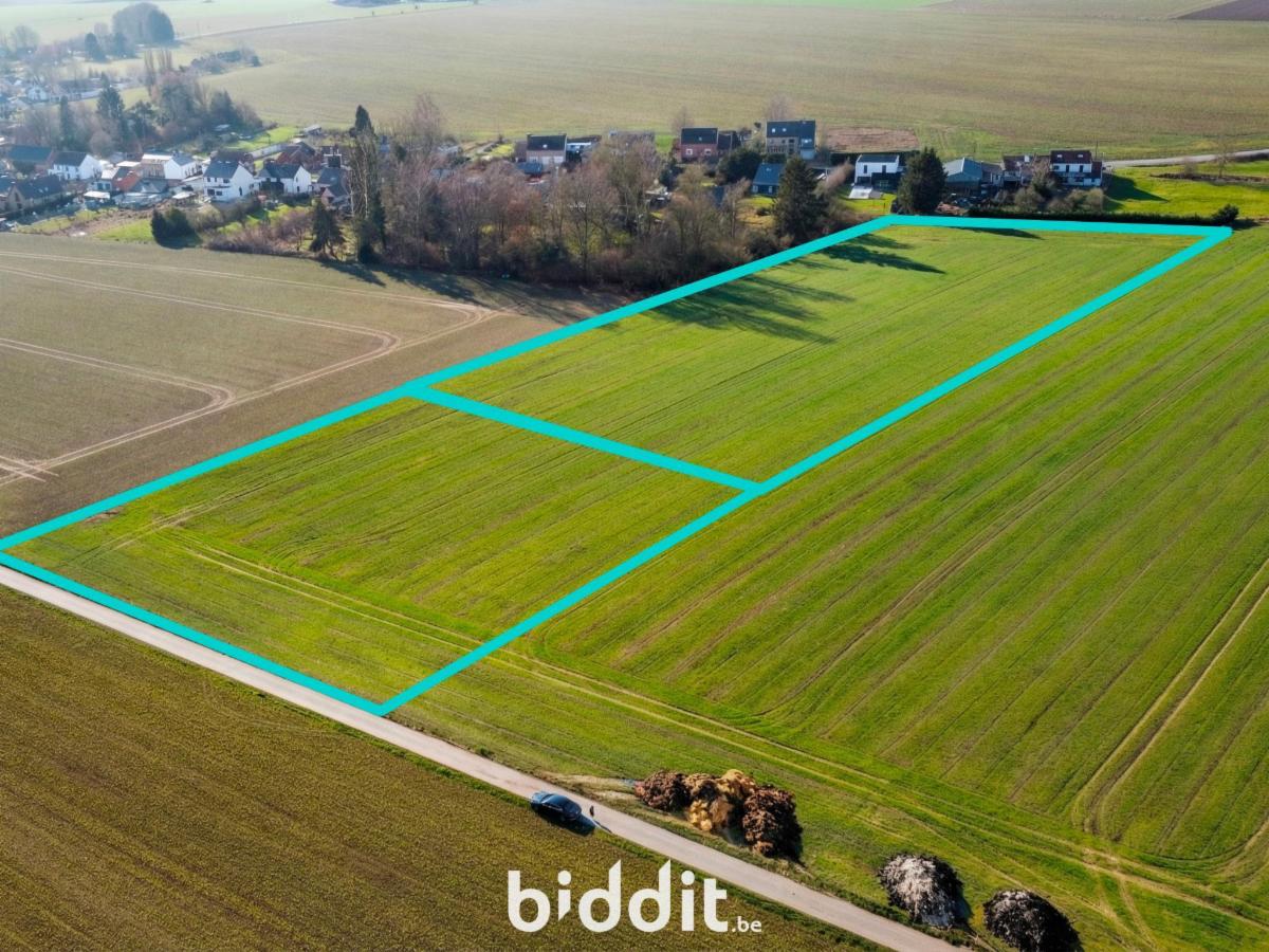 Image de présentation du bien n° 293235