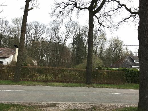 Première photo alternative du bien