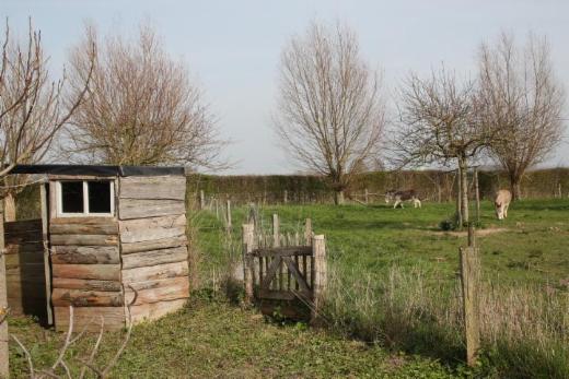 Troisième photo alternative du bien