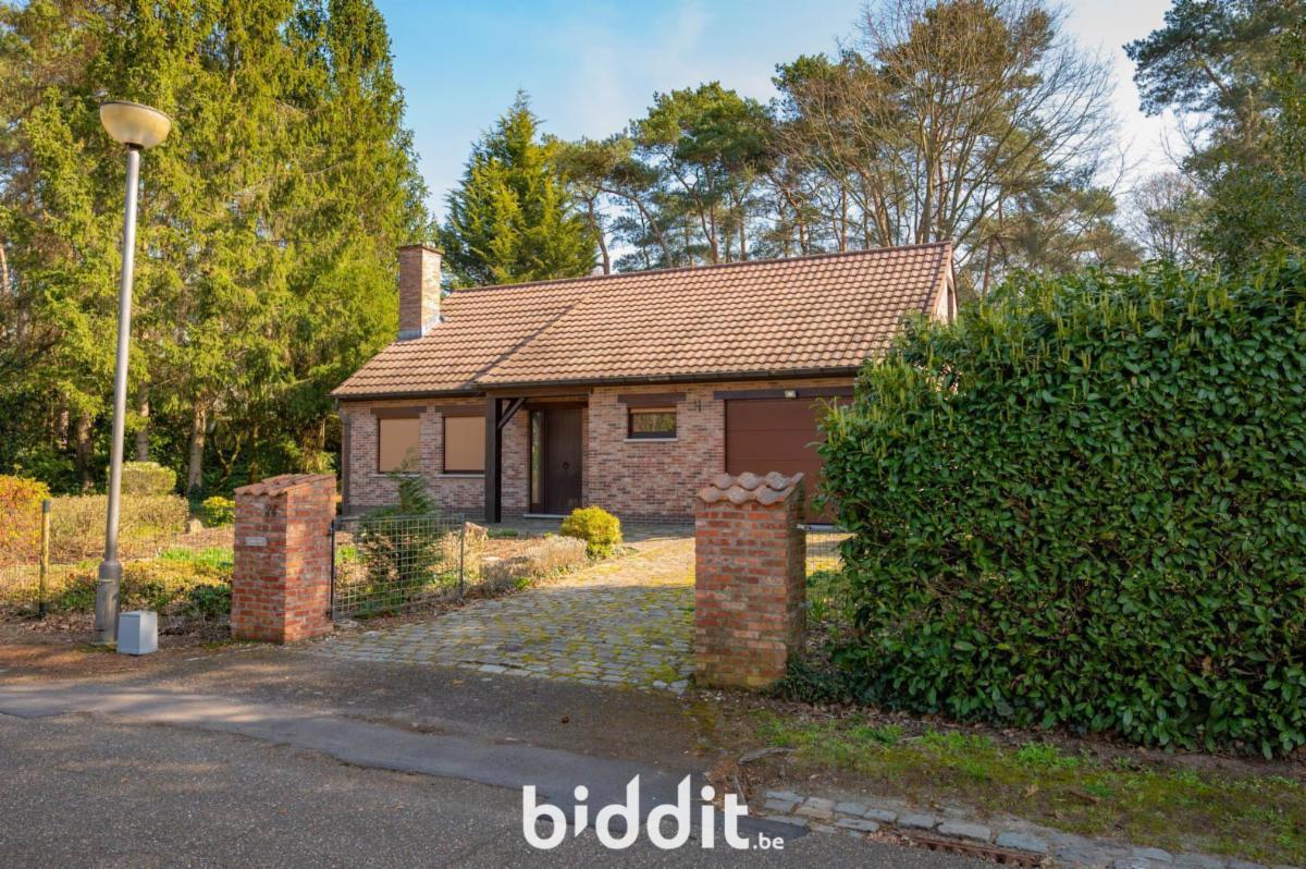 Image de présentation du bien n° 295681