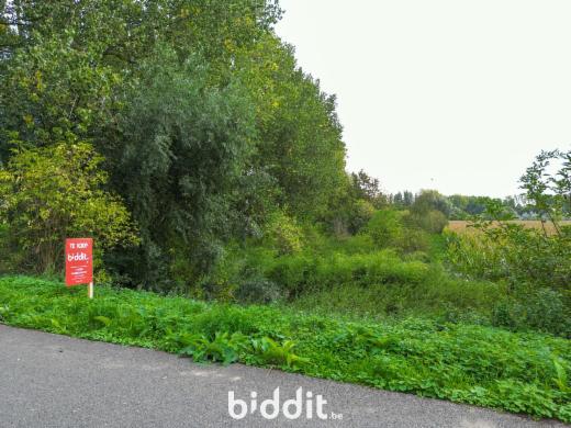 Première photo alternative du bien