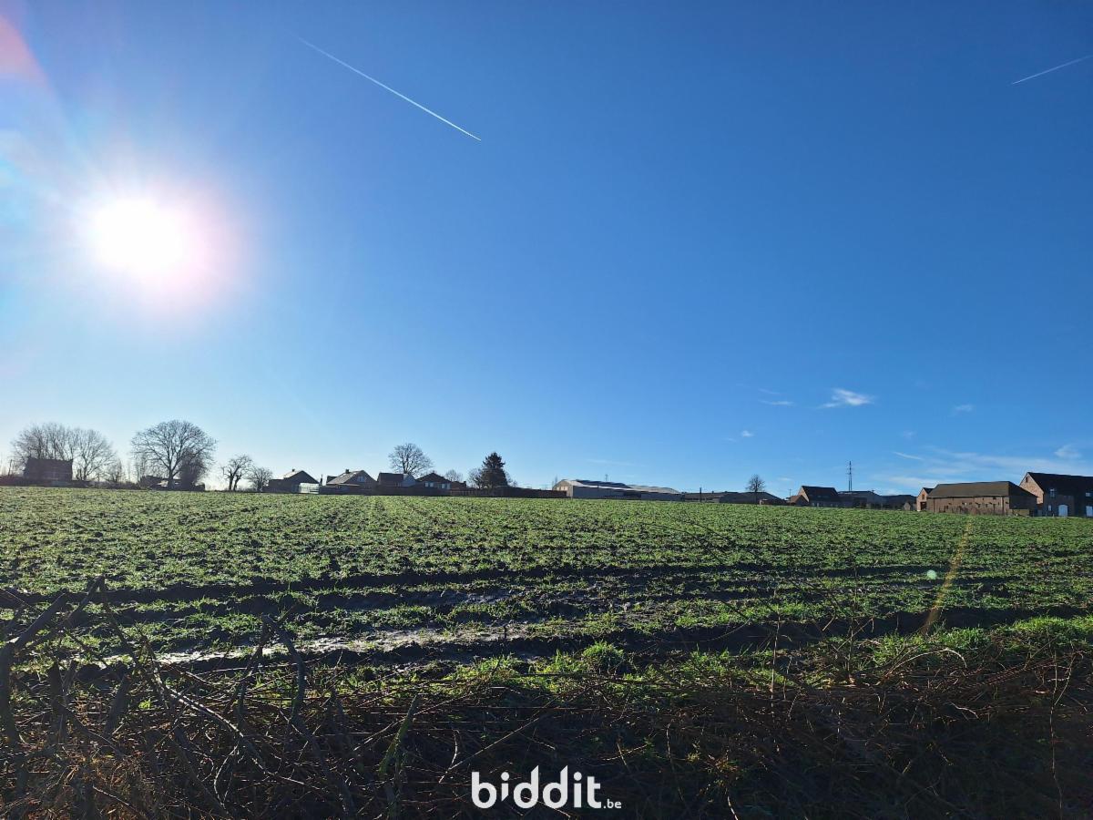 Image de présentation du bien n° 294688