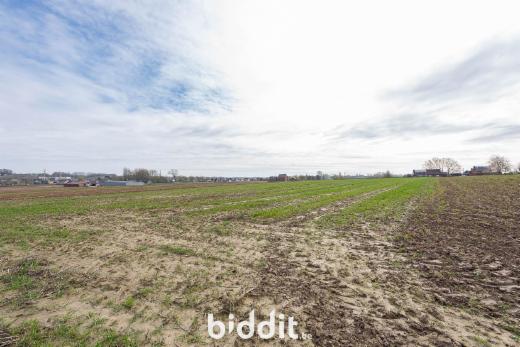 Troisième photo alternative du bien