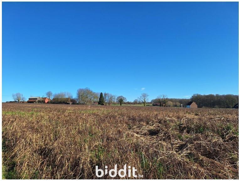 Image de présentation du bien n° 294691