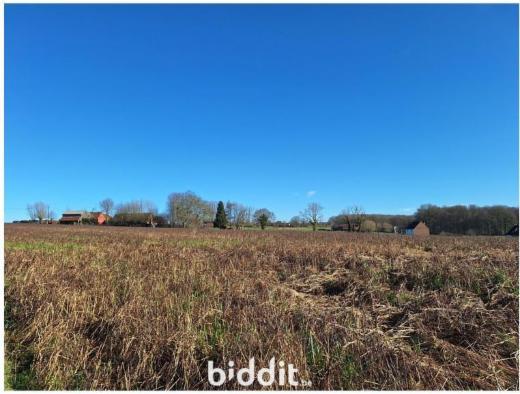 Image de présentation du bien n° 294691