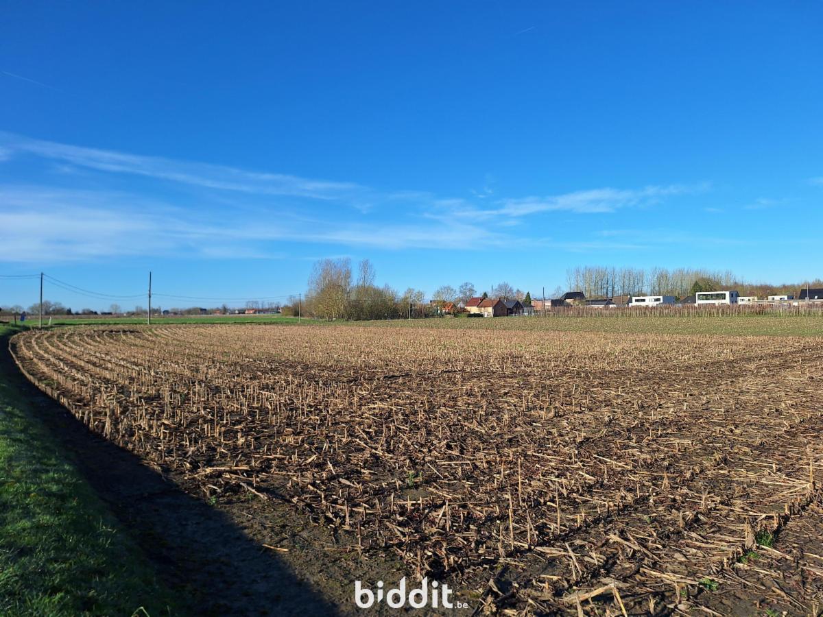 Image de présentation du bien n° 294694