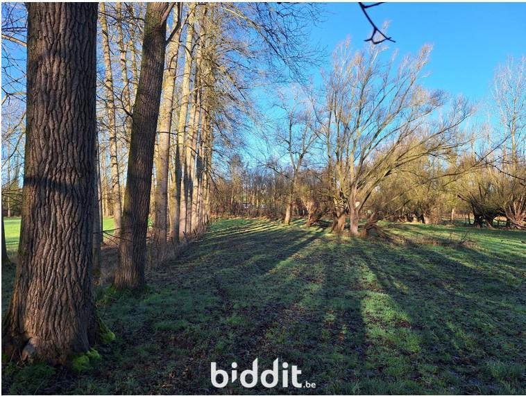 Image de présentation du bien n° 294695