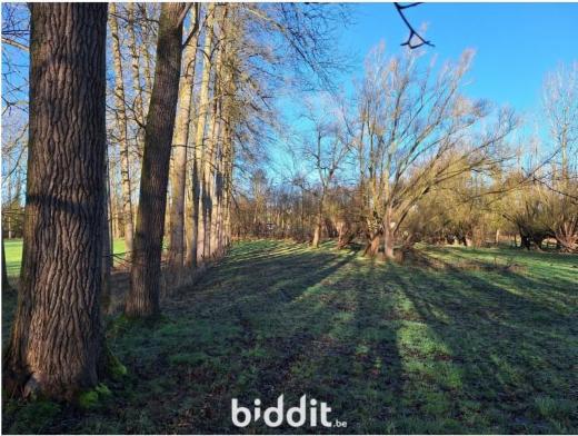 Image de présentation du bien n° 294695