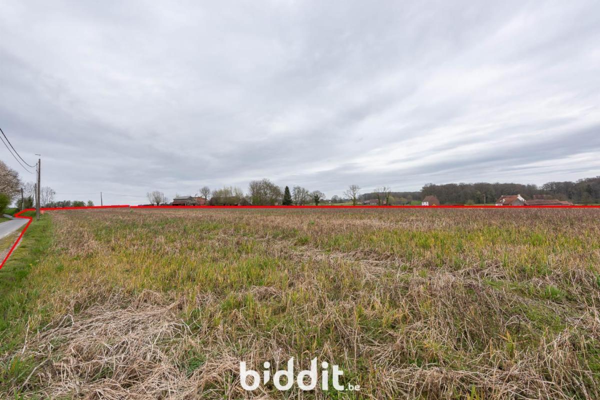 Image de présentation du bien n° 297177