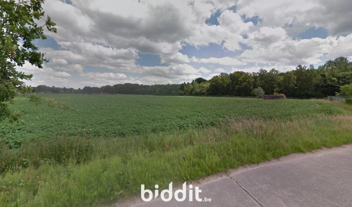 Image de présentation du bien n° 299878