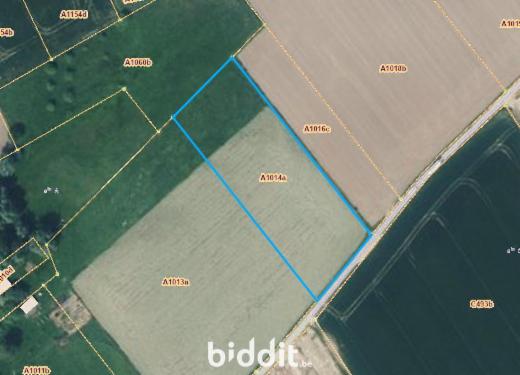 Image de présentation du bien n° 299880
