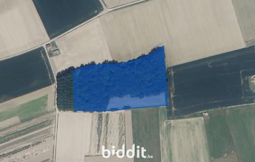 Image de présentation du bien n° 299881