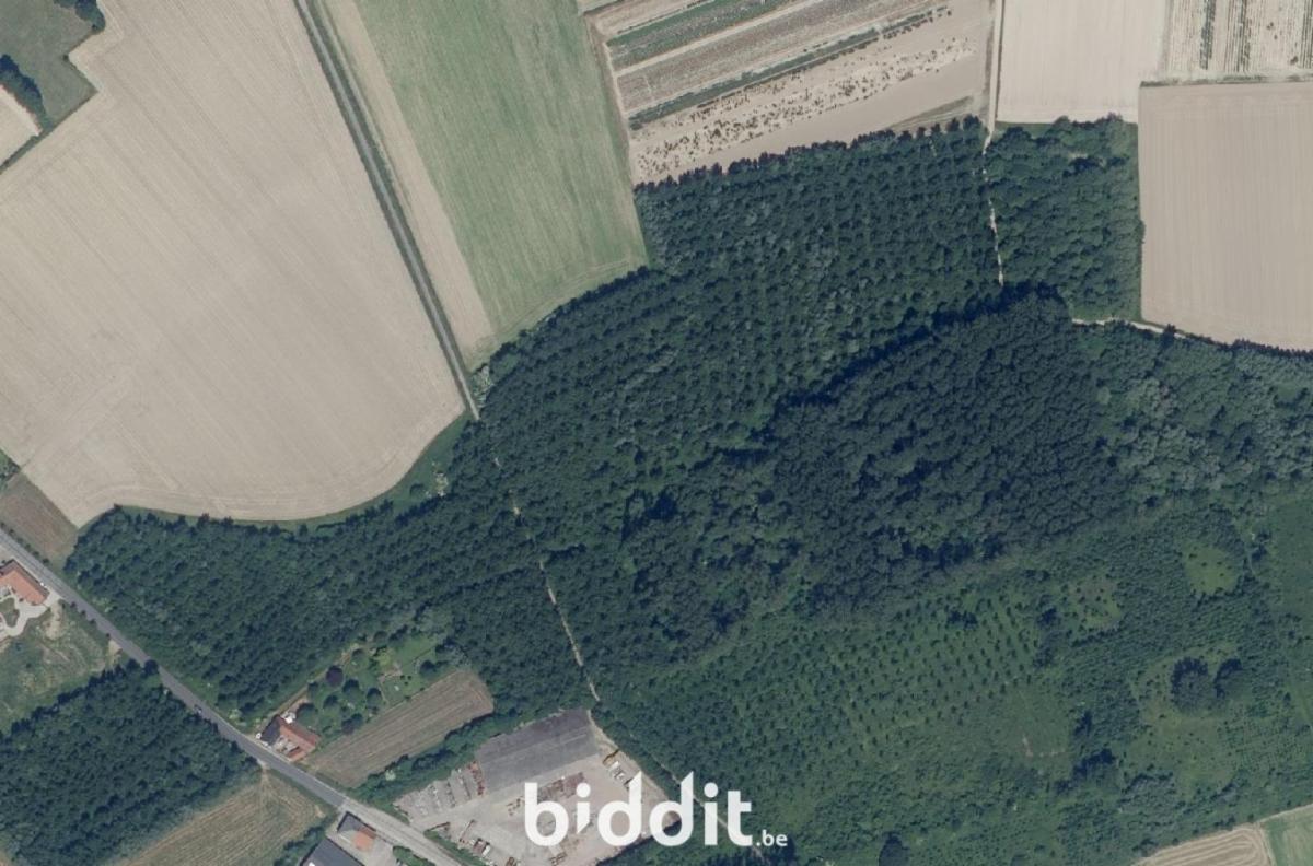 Image de présentation du bien n° 299882