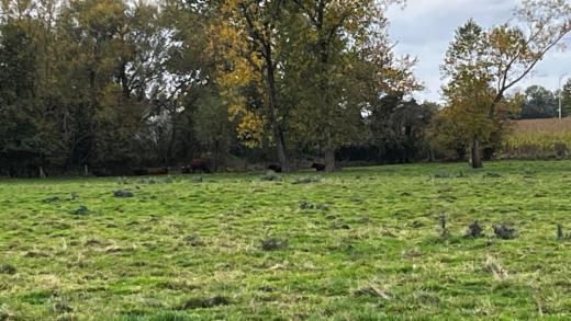 Seconde photo alternative du bien