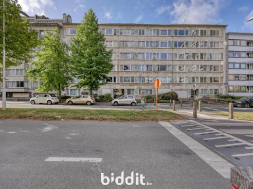 Image de présentation du bien n° 285965