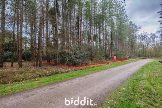 Image de présentation du bien n° 293007