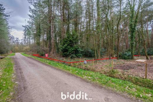 Seconde photo alternative du bien