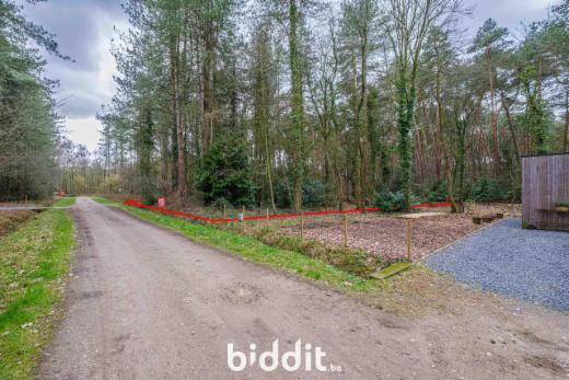 Troisième photo alternative du bien