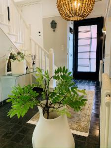 Seconde photo alternative du bien