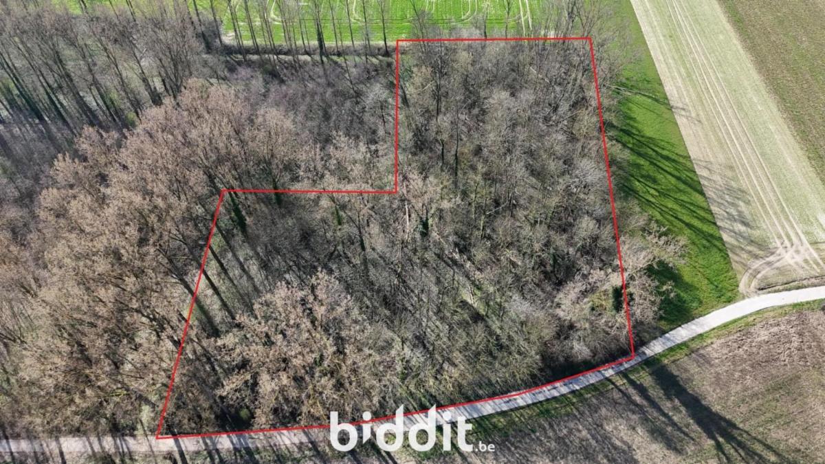 Image de présentation du bien n° 293964