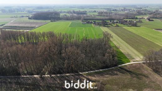 Première photo alternative du bien