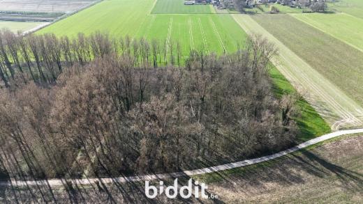 Seconde photo alternative du bien