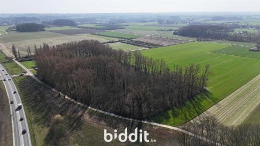 Troisième photo alternative du bien