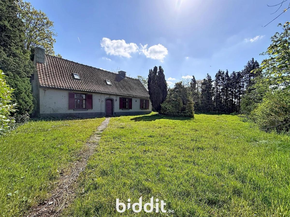 Image de présentation du bien n° 295693